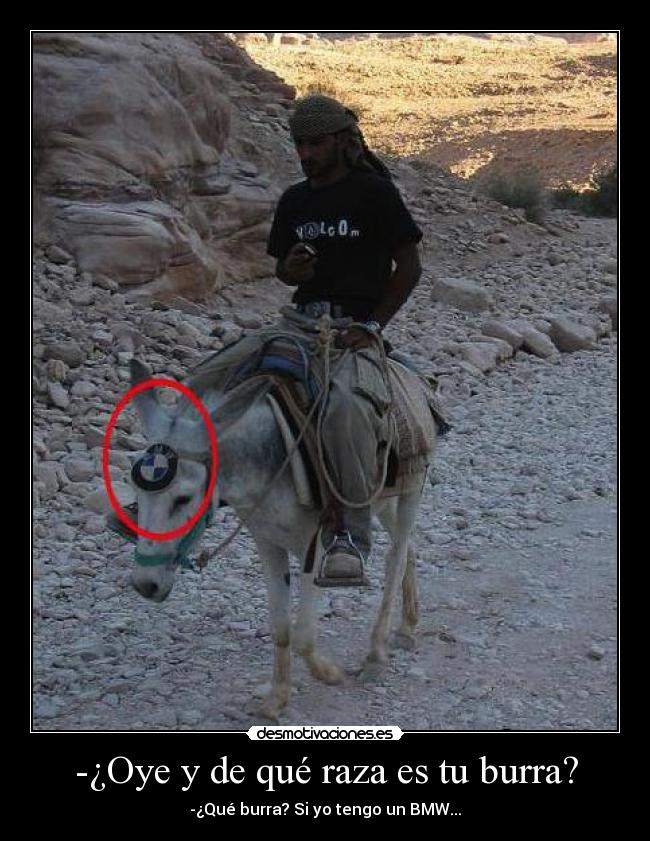 -¿Oye y de qué raza es tu burra? - -¿Qué burra? Si yo tengo un BMW...