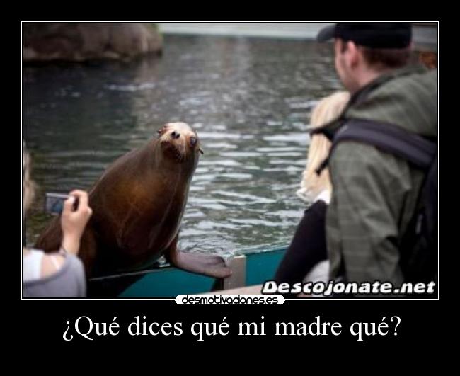 ¿Qué dices qué mi madre qué? - 