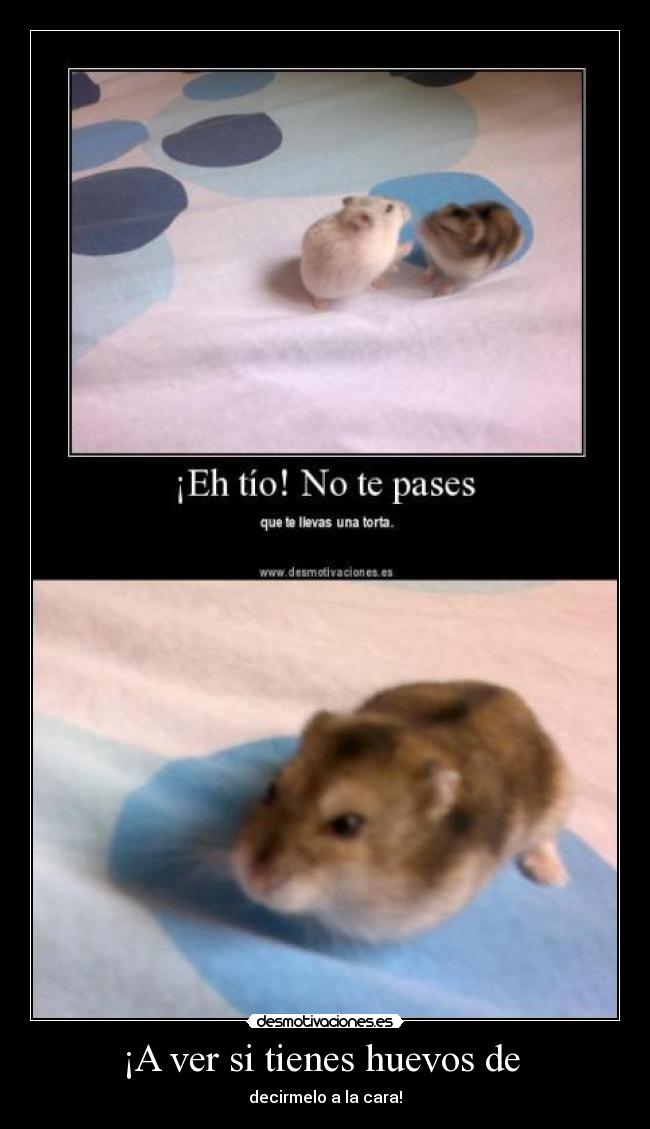 ¡A ver si tienes huevos de -