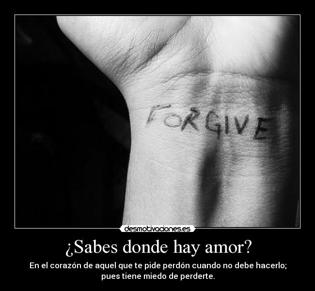 carteles amor amor corazon perdon miedo perdida forgive pesimista desmotivaciones