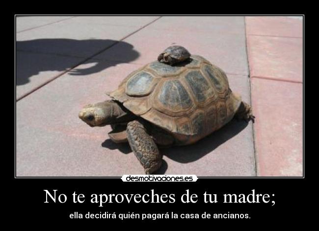 carteles madre madres desmotivaciones