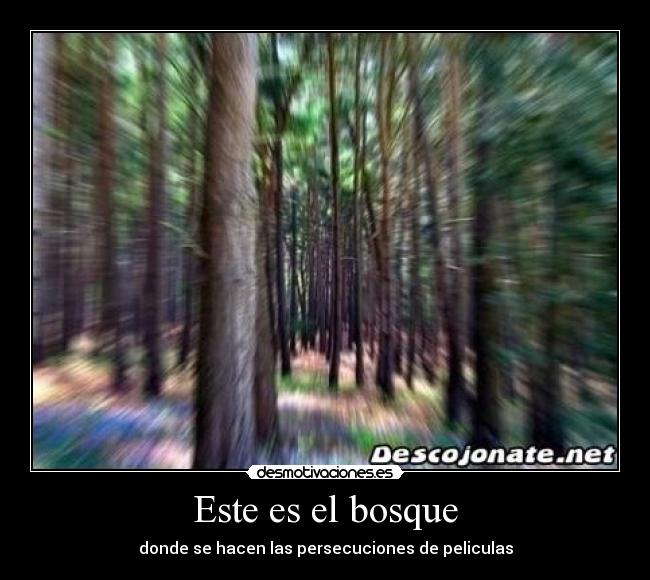 Este es el bosque - 
