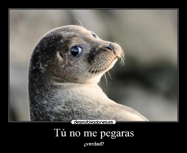 Tú no me pegaras -