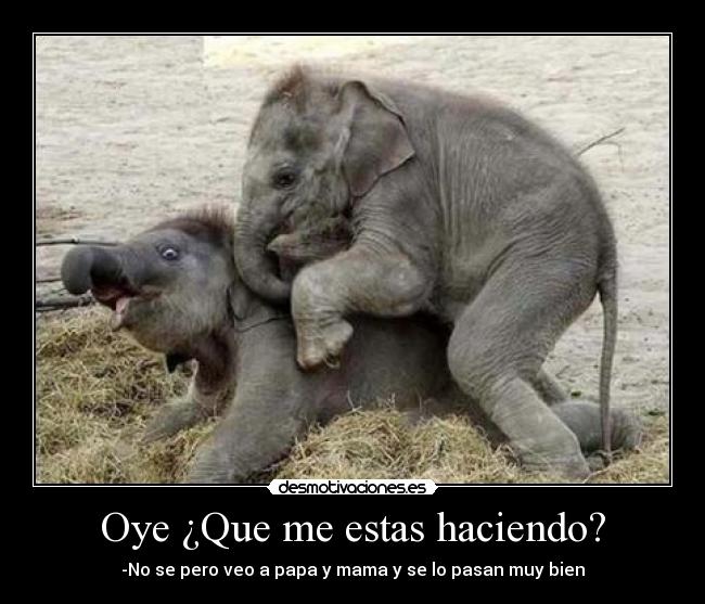 Oye ¿Que me estas haciendo? -