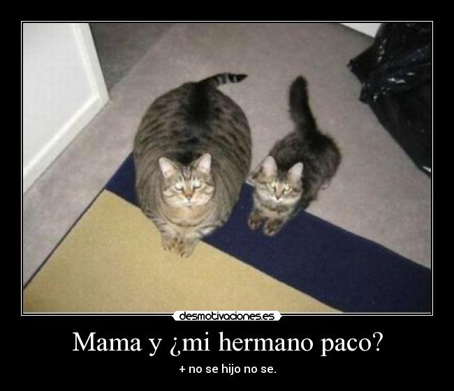 Mama y ¿mi hermano paco? - + no se hijo no se.