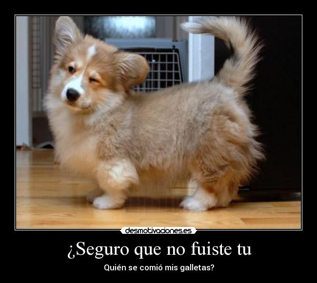 ¿Seguro que no fuiste tu -