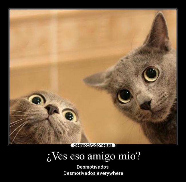 ¿Ves eso amigo mio? -