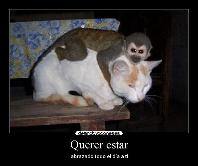 Querer estar -