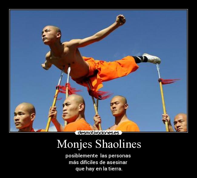Monjes Shaolines -