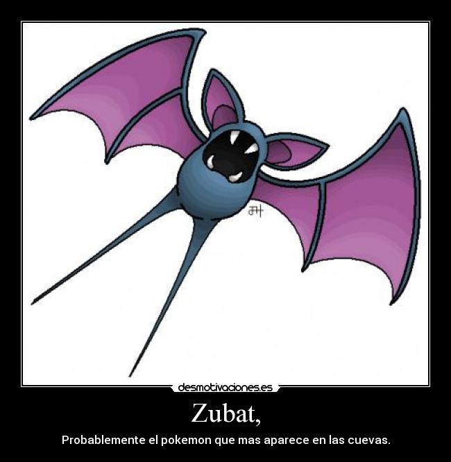 Zubat, -