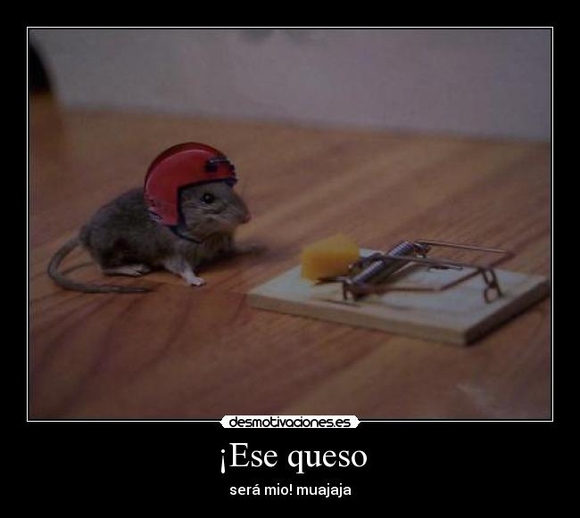 ¡Ese queso - será mio! muajaja