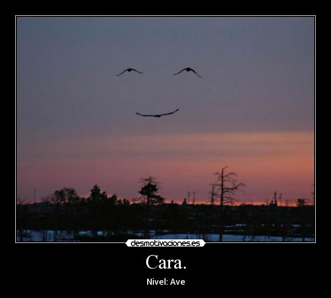 Cara. - 
