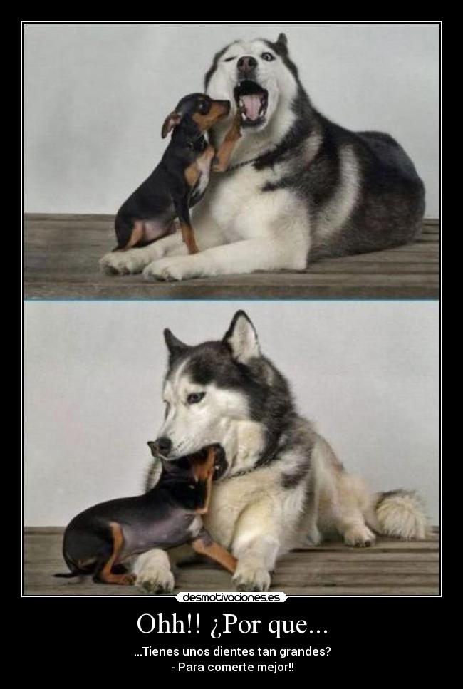 Ohh!! ¿Por que... -