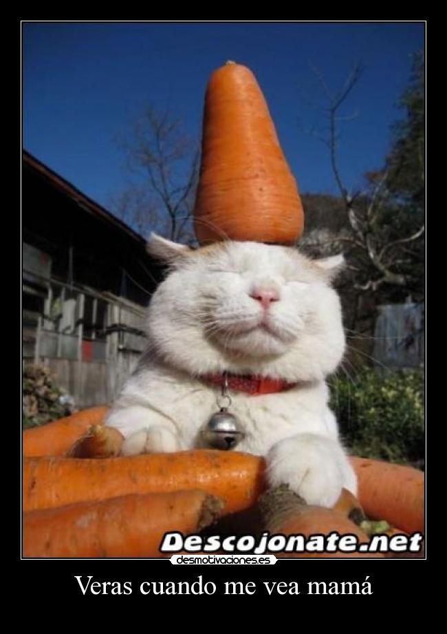 Veras cuando me vea mamá - 