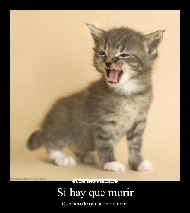 Si hay que morir -