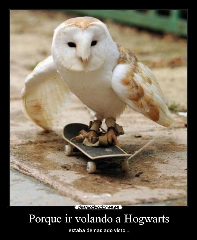 Porque ir volando a Hogwarts -