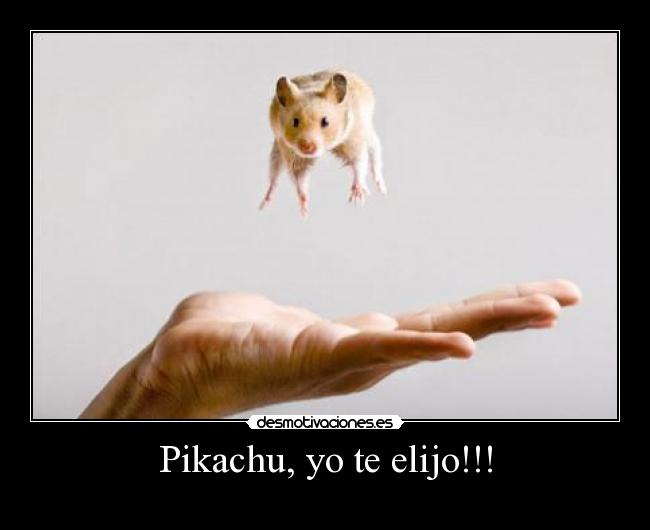 Pikachu, yo te elijo!!! -