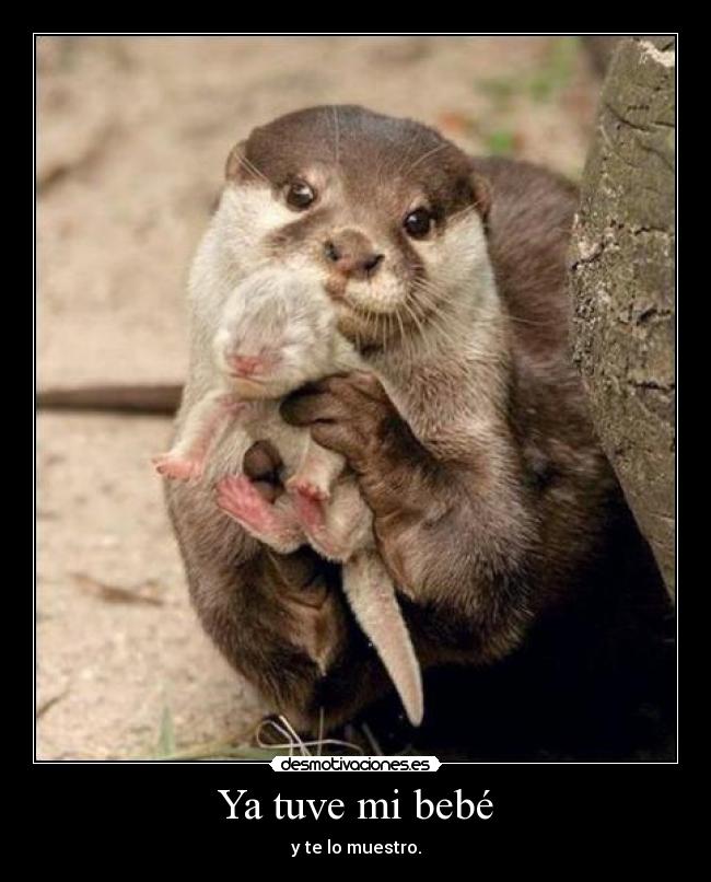 Ya tuve mi bebé - y te lo muestro.
