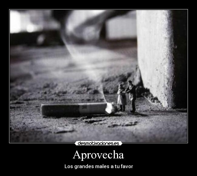 Aprovecha -