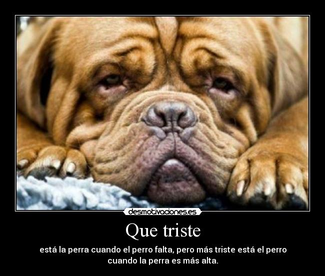 Que triste - está la perra cuando el perro falta, pero más triste está el perro
cuando la perra es más alta.