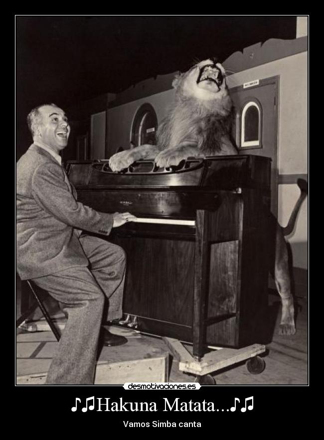 ♪♫Hakuna Matata...♪♫ -