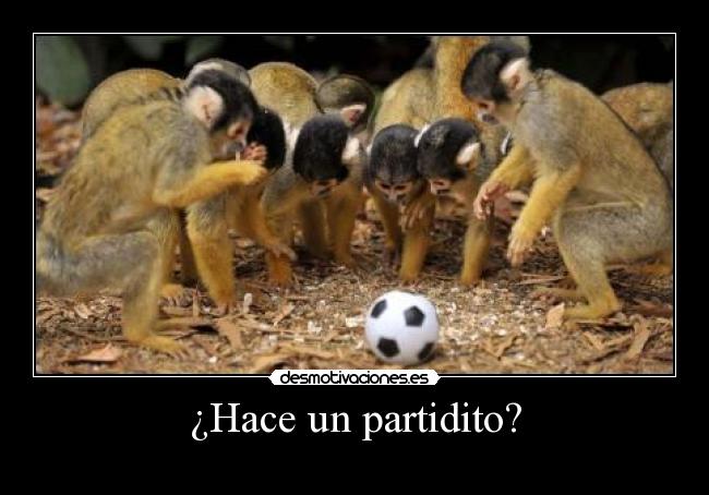 ¿Hace un partidito? - 