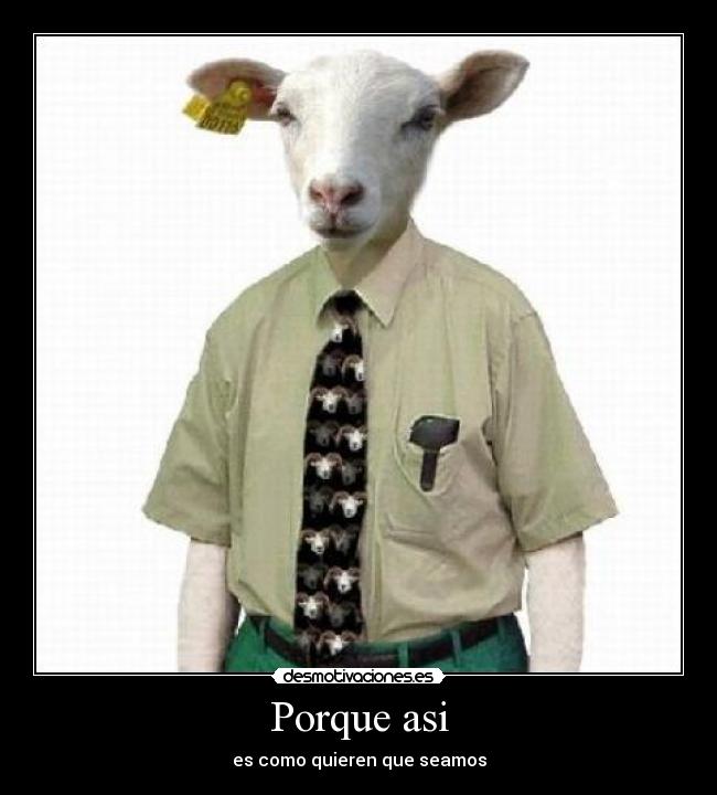 carteles desmotivaciones