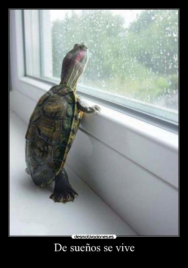 De sueños se vive -