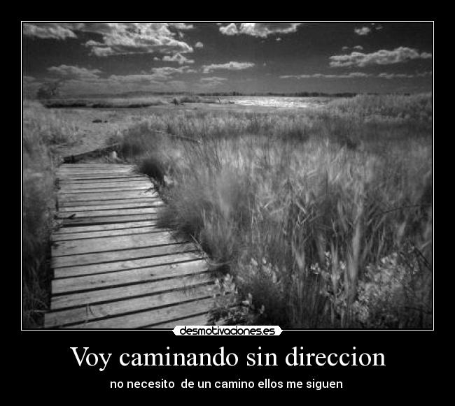 carteles fantasmas sin direccion desmotivaciones