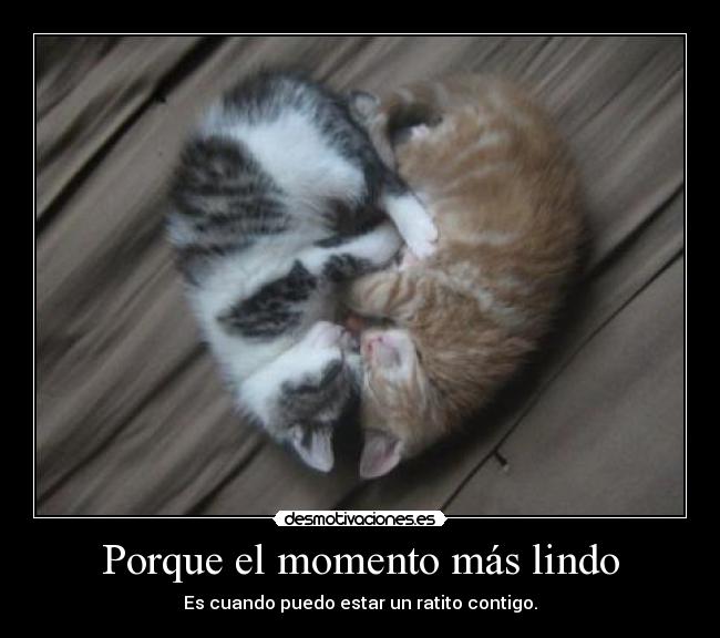 carteles  desmotivaciones