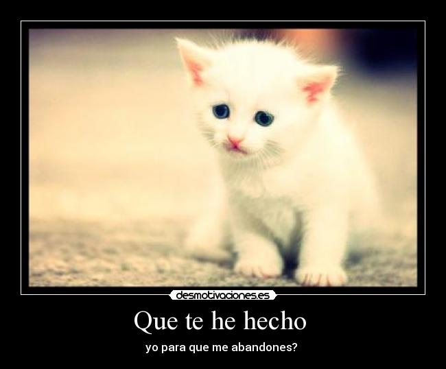Que te he hecho  - 