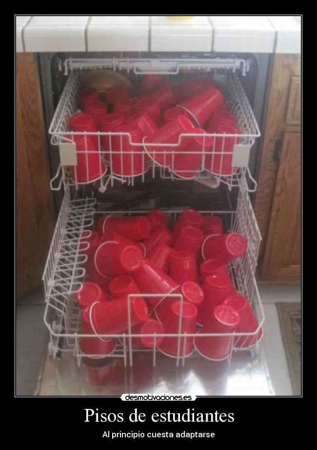 carteles piso studiantes lol lordbep desmotivaciones