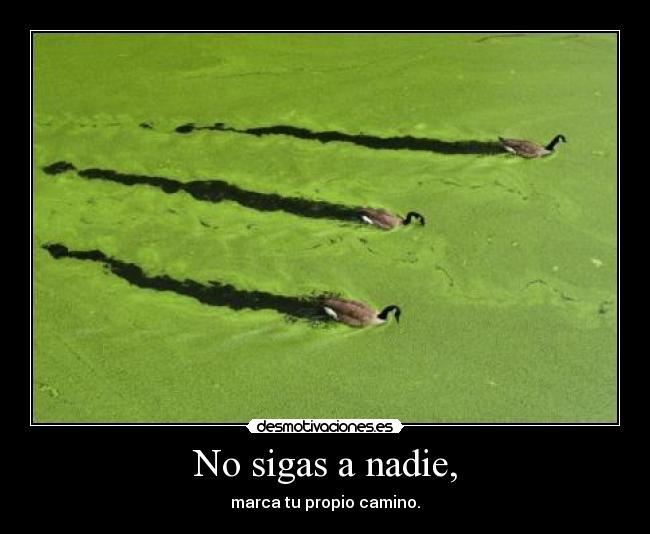 No sigas a nadie, - 