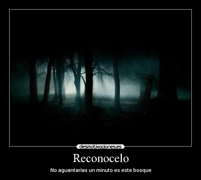 Reconocelo - No aguantarías un minuto es este bosque