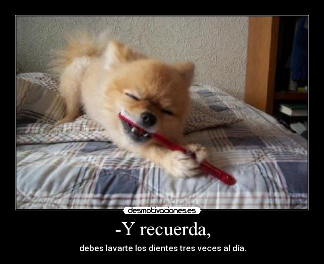 -Y recuerda, - debes lavarte los dientes tres veces al día.