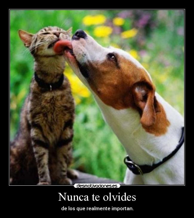 Nunca te olvides - de los que realmente importan.