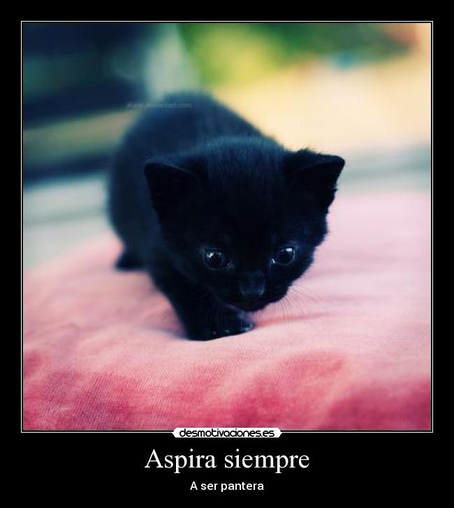 Aspira siempre -