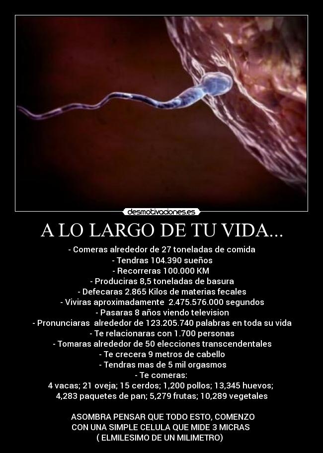carteles vida comera defecaras orgasmos espermatozoide viendo television natgeo viviras filosofo22 desmotivaciones