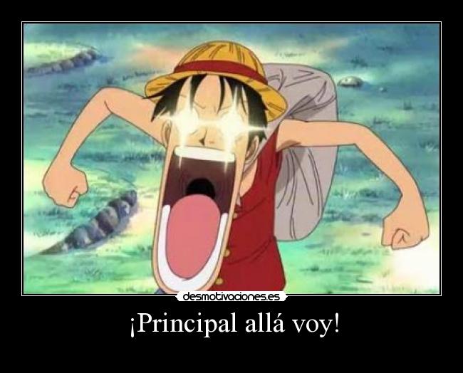 ¡Principal allá voy! - 