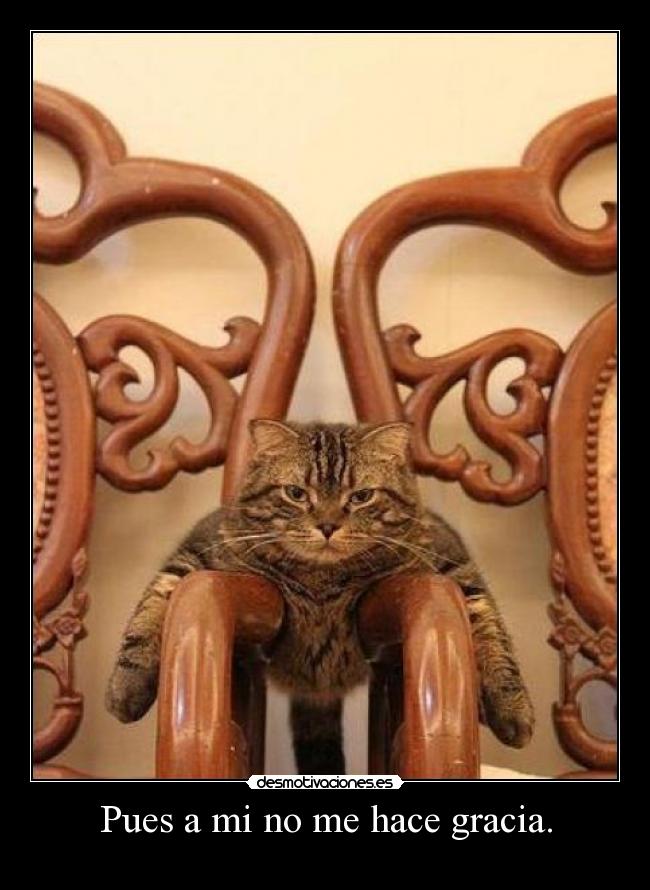 Pues a mi no me hace gracia. -