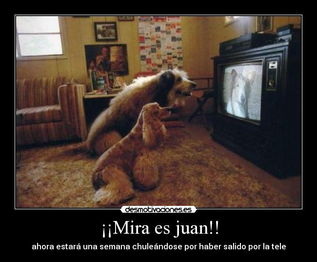 ¡¡Mira es juan!! - ahora estará una semana chuleándose por haber salido por la tele