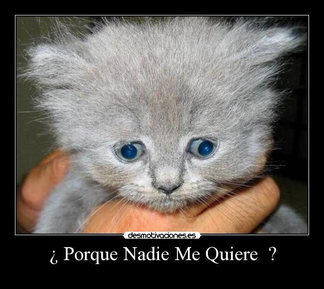 ¿ Porque Nadie Me Quiere ? -