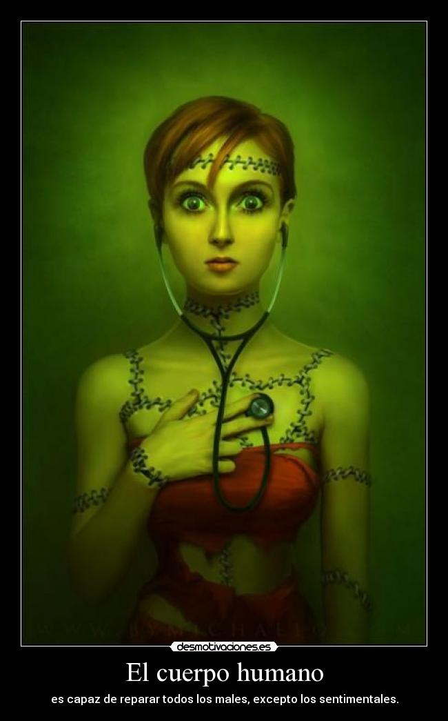 El cuerpo humano - es capaz de reparar todos los males, excepto los sentimentales.