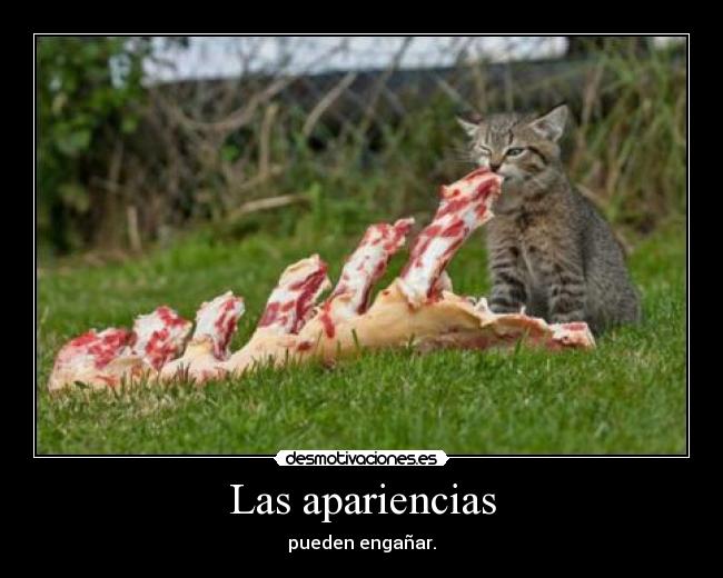 carteles flam clanvirus desmotivaciones