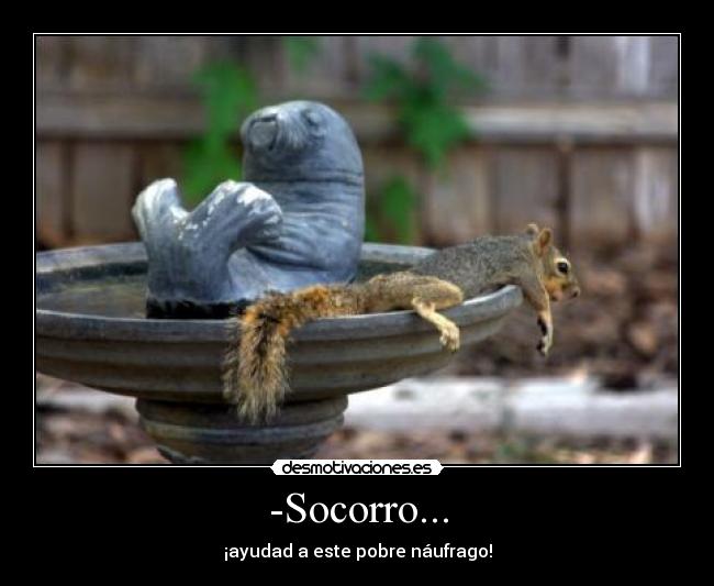 -Socorro... -