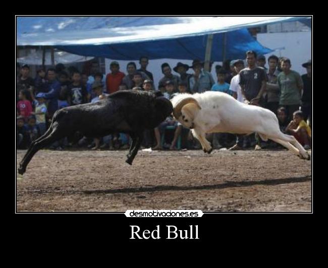 Red Bull -