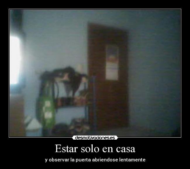 Estar solo en casa -