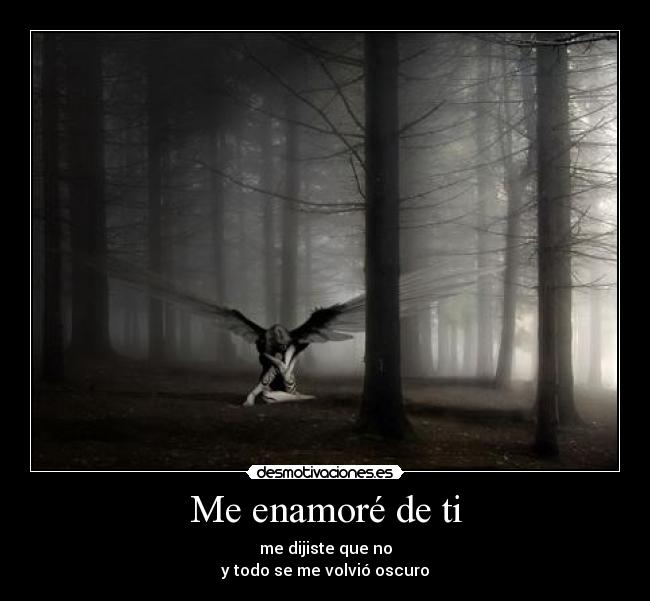 Me enamoré de ti -
