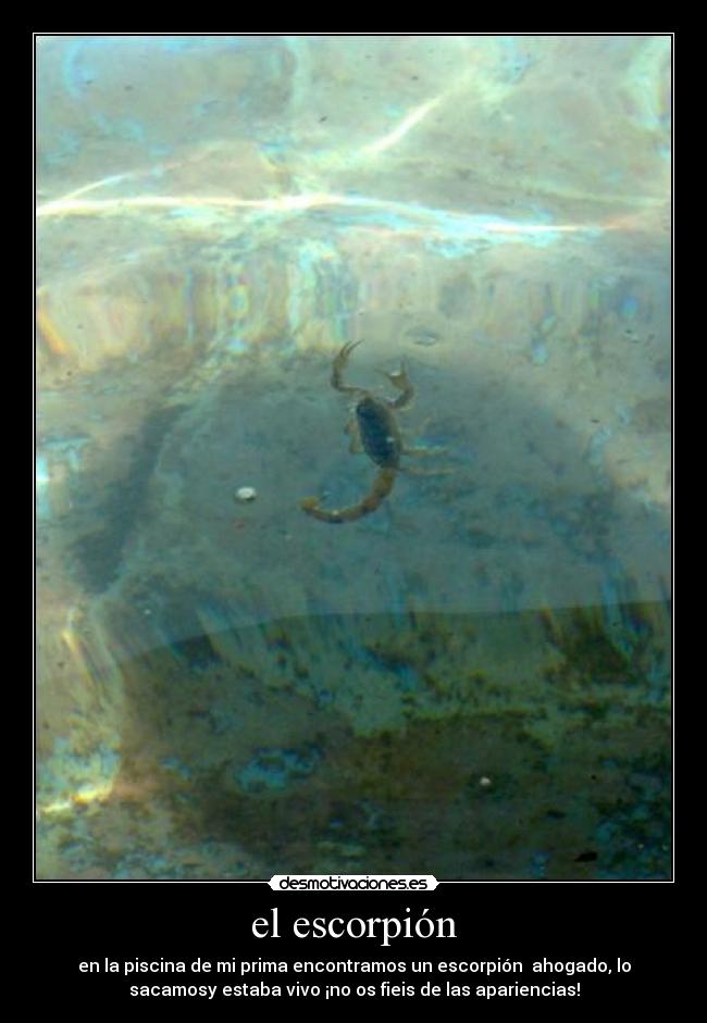 el escorpión - 