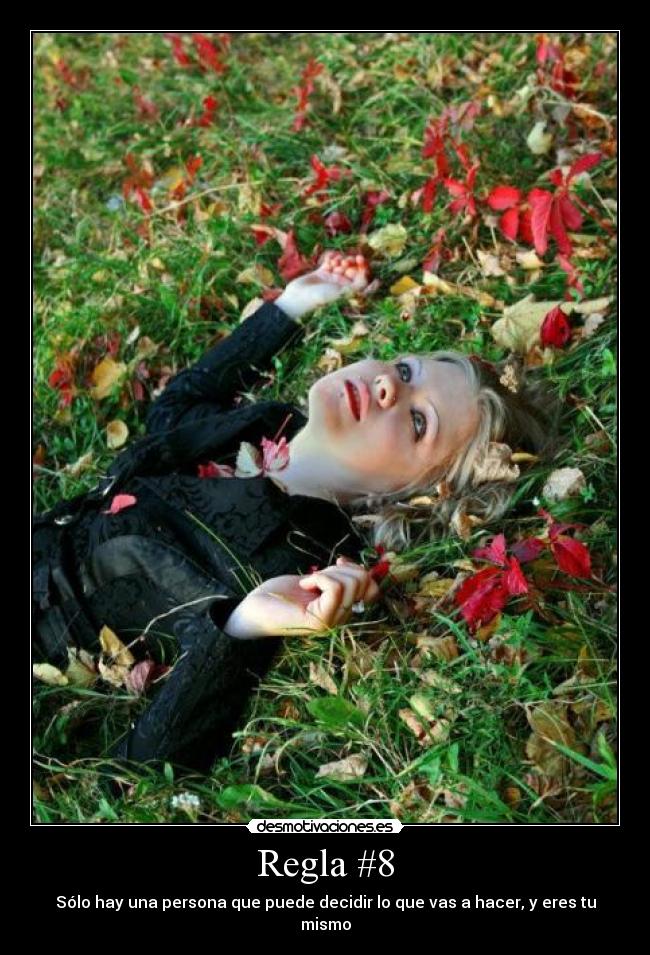 Regla #8 -